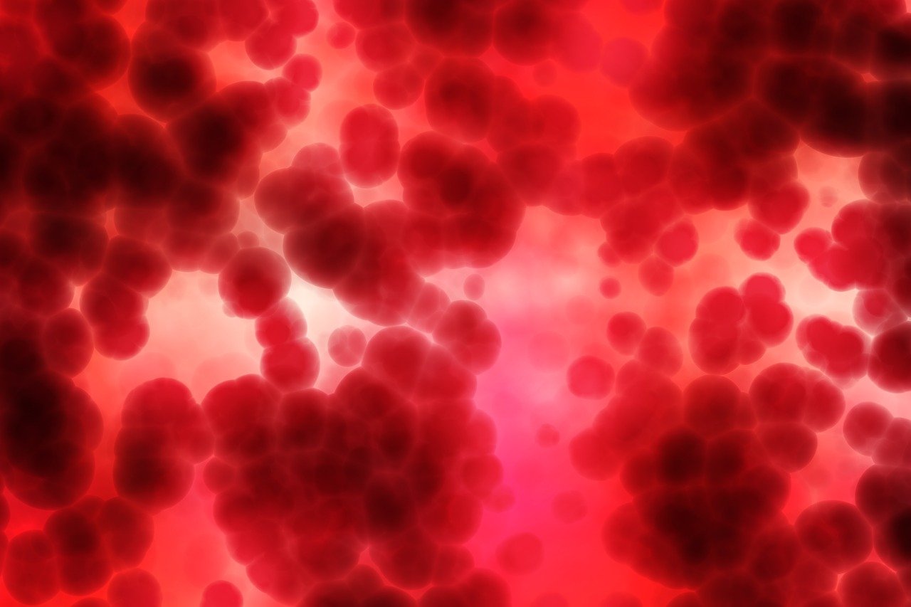 La drépanocytose vue par les malades