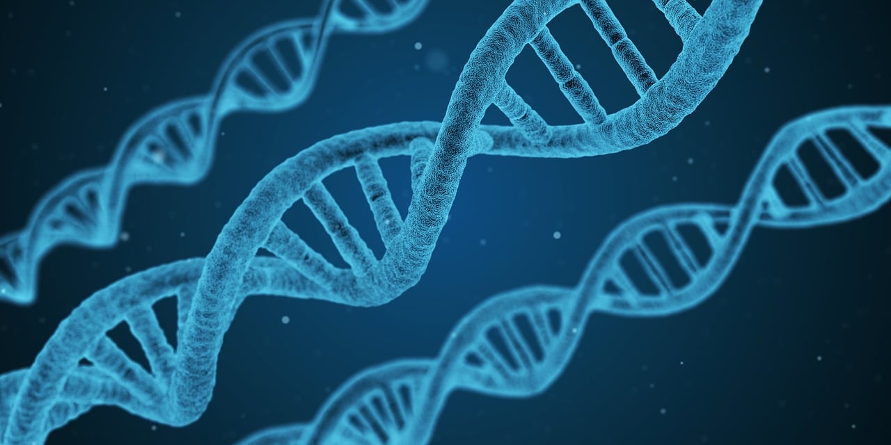 La drépanocytose, qu’est-ce que c’est ?